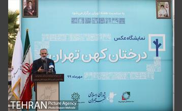 آیین نکوداشت درختان بالای صد سال تهران 4