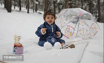 روز برفی تهران - 2 6