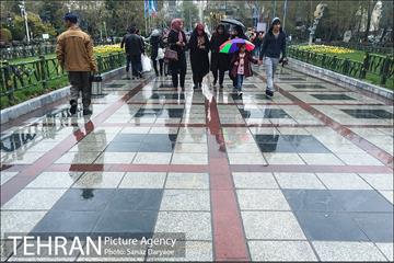 روز طبیعت بارانی در بوستان ملت 13