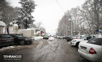 بازگشایی معابر منطقه یک 17