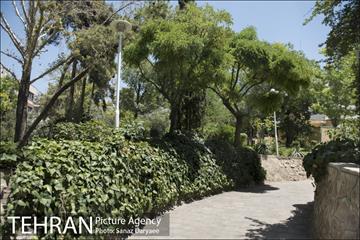 بوستان شفق‎ 30