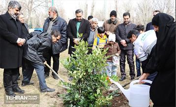 غرس ۱۱۰۰ نهال در منطقه ۱۱ 32