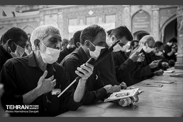 تجلی «حب‌الحسین یـجمعنا» 16