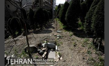 گورستان جوزدرختک (آجودانیه) 43