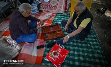 روز طبیعت در پارک ساعی و حاشیه اتوبان مدرس  9