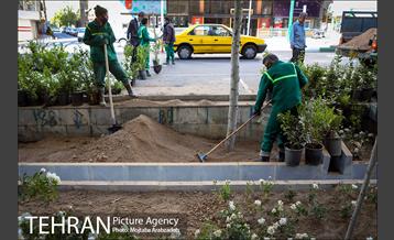 گلکاری در خیابان ولیعصر 3