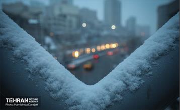 بارش برف زمستانی در شمیران  5