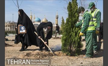 آیین کاشت "درخت ایثار" 33