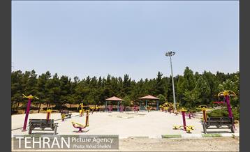 بوستان جنگلی یاس فاطمی 28