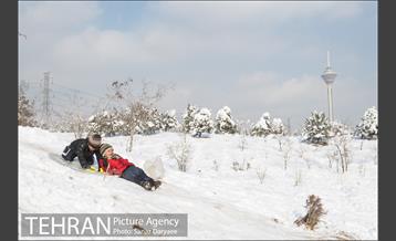 جشنواره مجسمه های برفی 16