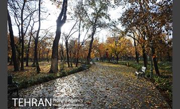 پاییز در پارک شهر 8