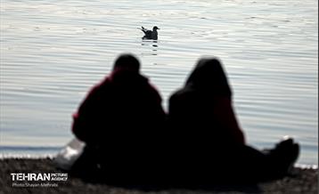 کوچ پرندگان مهاجر به دریاچه شهدای خلیج‌فارس 45