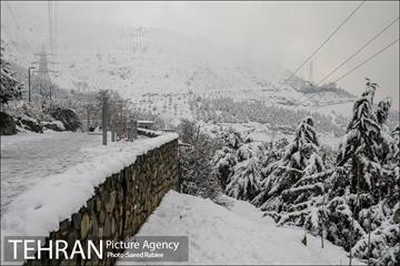 برف زمستانی پارک جمشیدیه 1