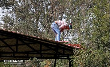 آخرین مراحل ساخت بوستان مادر و کودک "باغ نظر" 23
