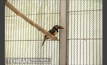 افتتاح اولین "باغچه خبر" در تهران 30