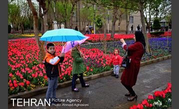 جشنواره لاله‌ها در بوستان زندگی محله هرندی 4