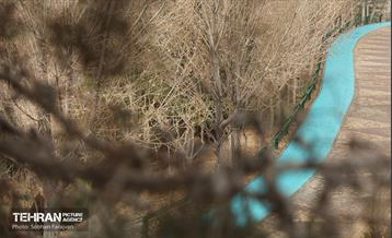 به وقت خدمت؛ مسیر زندگی 14