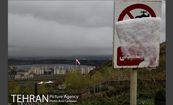 بهار بارانی تهران در روز طبیعت 5