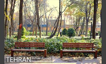 پاییز باغ ایرانی 23