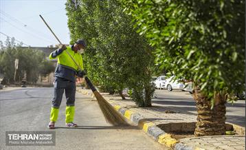 حضور نیروهای خادم الحسین(ع) در نجف اشرف 12