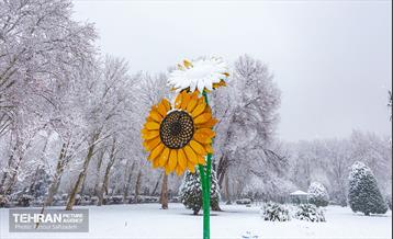 روز برفی در منطقه 6