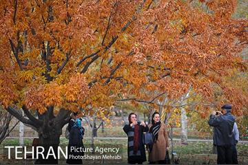 باغ گیاه‌شناسی ملی ایران 26