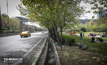 روز طبیعت در پارک ساعی و حاشیه اتوبان مدرس  46