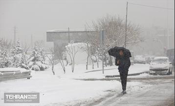 روز برفی پایتخت 15