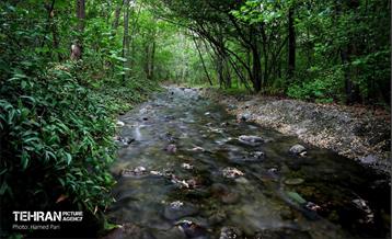 باغ گیاه‌شناسی 19