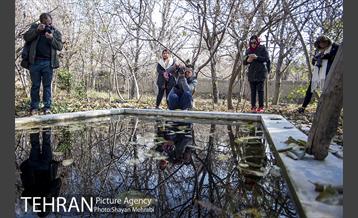 تور عکاسی آژانس عکس تهران در محله کن و سولقان 7