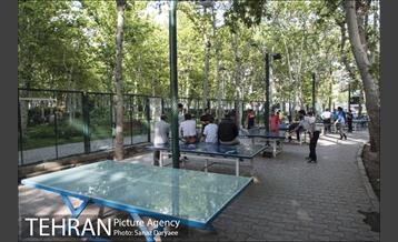 بوستان فدک‎ 24