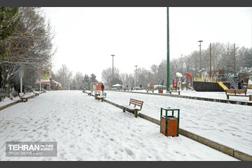 بارش برف زمستانی در منطقه ۲ 11