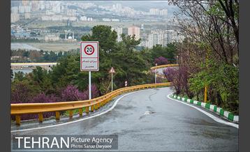 طبیعت بهاری پارک جنگلی لویزان‎  17