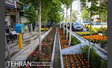 گلکاری در خیابان ولیعصر 15