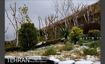 بهار بارانی تهران در روز طبیعت 6