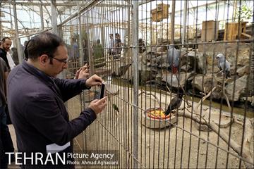 افتتاح اولین "باغچه خبر" در تهران 28
