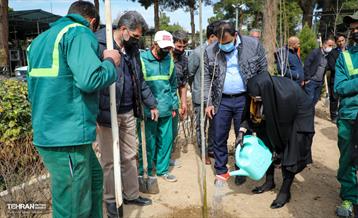 روز درختکاری با حضور مادران شهدا 10