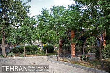 بوستان باغ حکیم 18