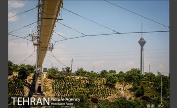 پل معلق بوستان نهج البلاغه 9