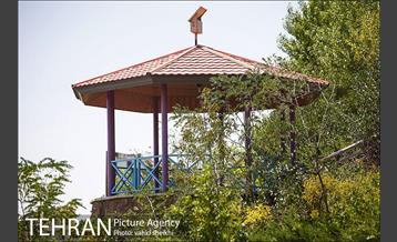 بوستان گلابدره 17