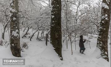 روایت مه‌و‌برف در بوستان سنگی تهران  8