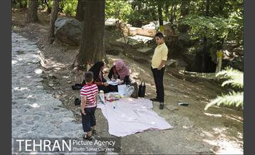 بوستان جمشیدیه‎ 14