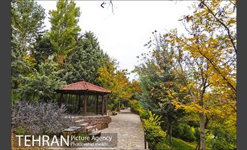 طبیعت پاییزی بوستان فدک 22