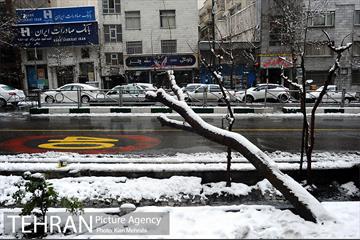بارش برف زمستانی در تهران 32