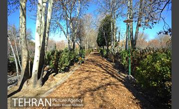 بوستان پلیس 13