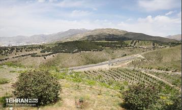 بازدید اصحاب رسانه از کمربند سبز 9