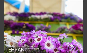 گل آرایی پل سیدخندان 11