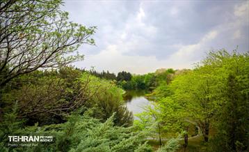 باغ گیاه‌شناسی 47