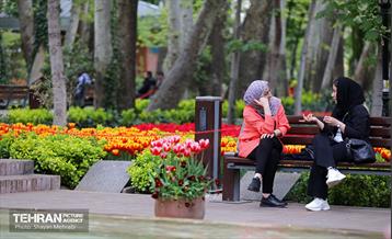 تور عکاسی از باغ ایرانی 31