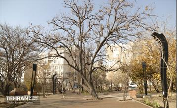 هشتادوششمین رویداد امیدوافتخار 23